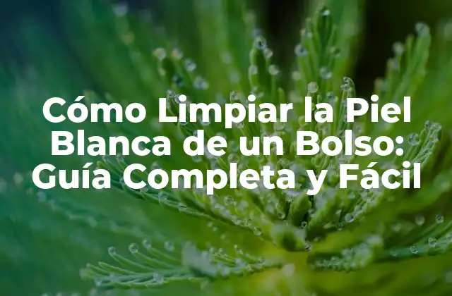 Cómo Limpiar la Piel Blanca de un Bolso: Guía Completa y Fácil