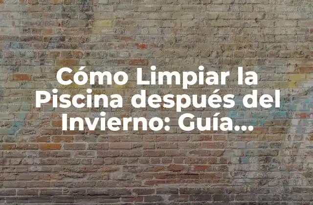 Cómo Limpiar la Piscina Después Del Invierno: Guía Detallada