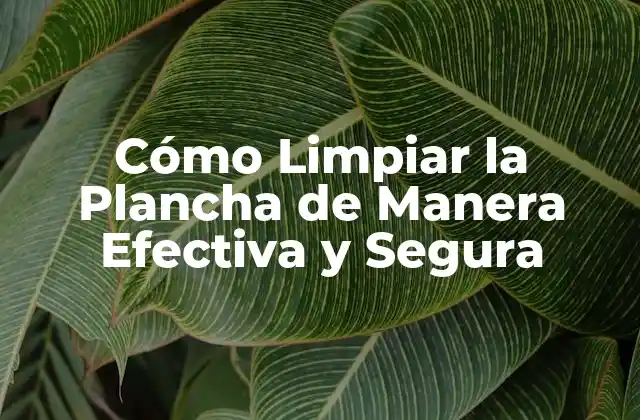 Cómo Limpiar la Plancha de Manera Efectiva y Segura