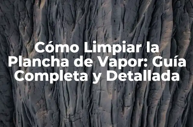 Cómo Limpiar la Plancha de Vapor: Guía Completa y Detallada