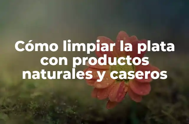 Cómo Limpiar la Plata con Productos Naturales y Caseros