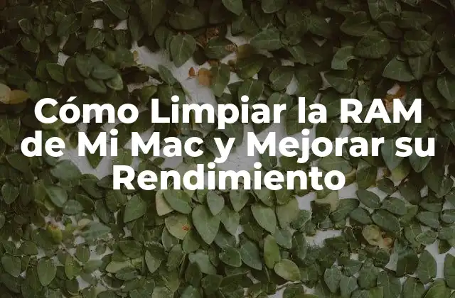 Cómo Limpiar la Ram de Mi Mac y Mejorar Su Rendimiento