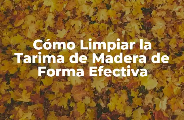 Cómo Limpiar la Tarima de Madera de Forma Efectiva