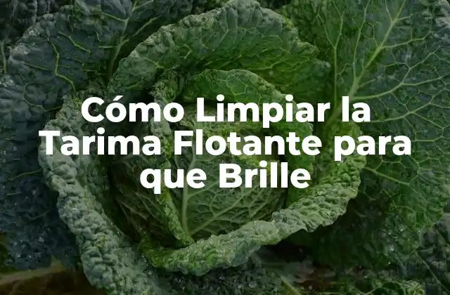 Cómo Limpiar la Tarima Flotante para que Brille