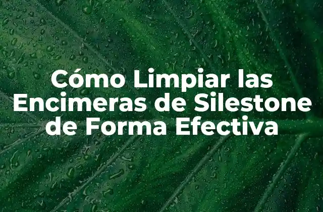 Cómo Limpiar las Encimeras de Silestone de Forma Efectiva 2 ¿Qué es Silestone y Por Qué Requiere un Cuidado Especial?