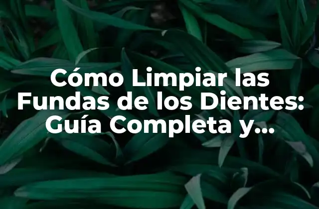 Cómo Limpiar las Fundas de los Dientes: Guía Completa y Efectiva