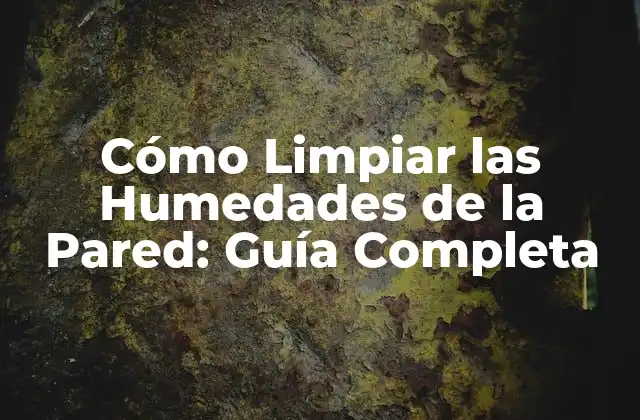 Cómo Limpiar las Humedades de la Pared: Guía Completa