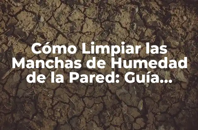 Cómo Limpiar las Manchas de Humedad de la Pared: Guía Definitiva