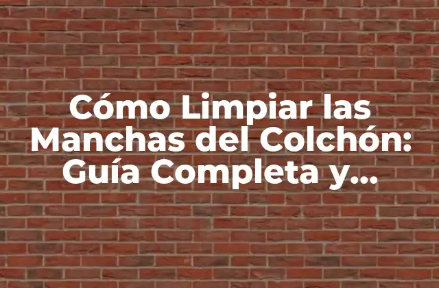 Identificar el Tipo de Mancha