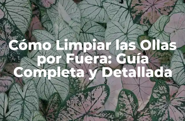 Cómo Limpiar las Ollas por Fuera: Guía Completa y Detallada