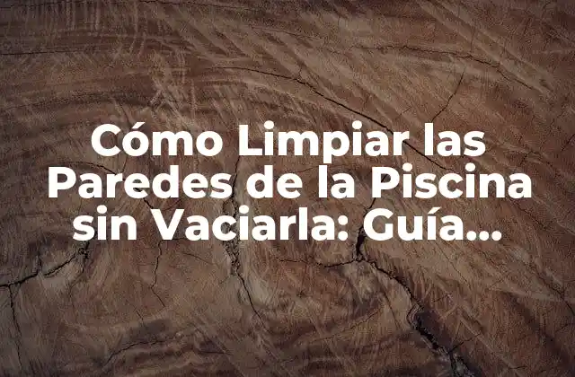 ¿Por qué es Importante Limpiar las Paredes de la Piscina?