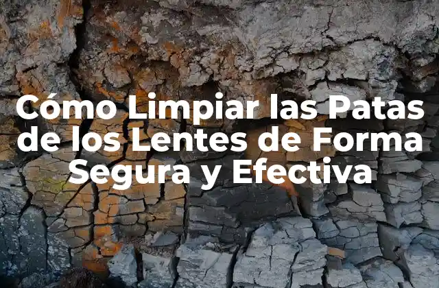 Cómo Limpiar las Patas de los Lentes de Forma Segura y Efectiva