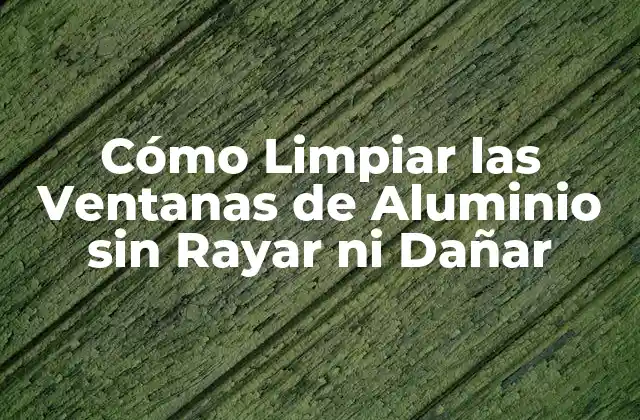 Cómo Limpiar las Ventanas de Aluminio sin Rayar ni Dañar