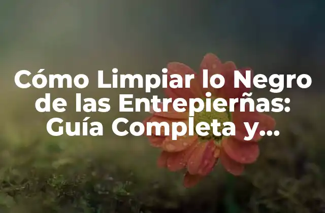 Cómo Limpiar Lo Negro de las Entrepierñas: Guía Completa y Detallada