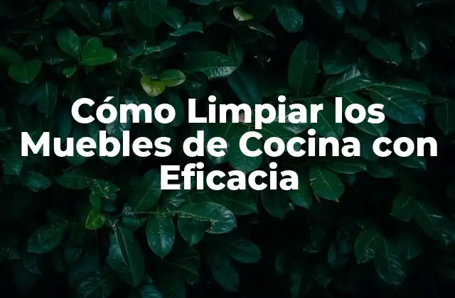 Cómo Limpiar los Muebles de Cocina con Eficacia