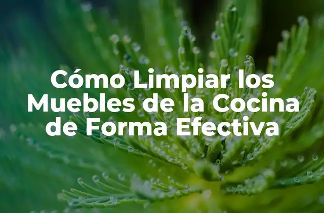 Cómo Limpiar los Muebles de la Cocina de Forma Efectiva