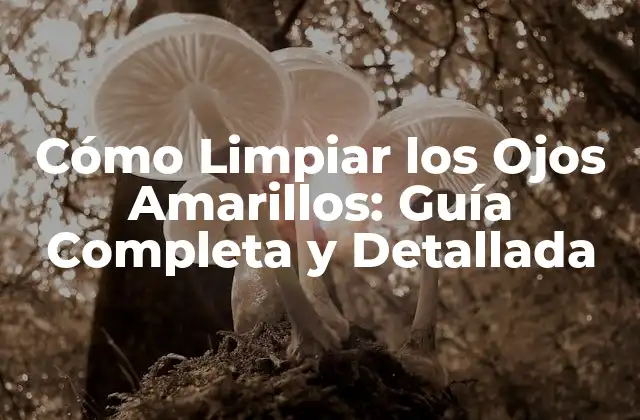 Cómo Limpiar los Ojos Amarillos: Guía Completa y Detallada