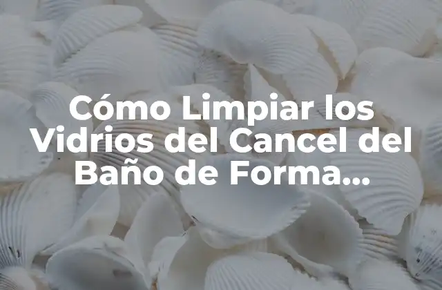 Cómo Limpiar los Vidrios Del Cancel Del Baño de Forma Efectiva