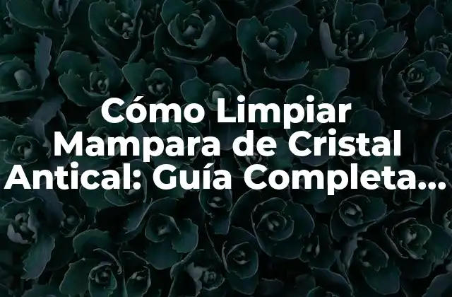 Cómo Limpiar Mampara de Cristal Antical: Guía Completa y Actualizada