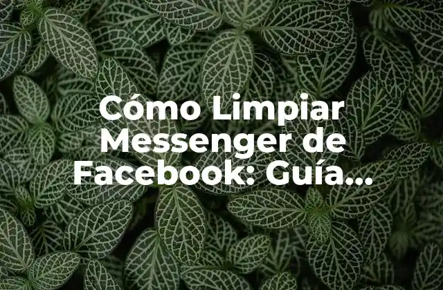 Cómo Limpiar Messenger de Facebook: Guía Completa para Optimizar Tu Chat