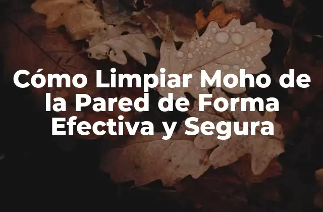 Cómo Limpiar Moho de la Pared de Forma Efectiva y Segura