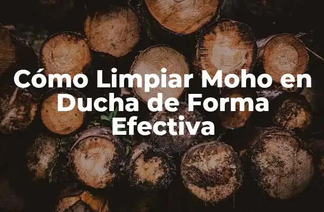 Cómo Limpiar Moho en Ducha de Forma Efectiva
