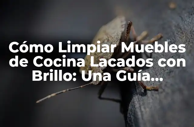 Cómo Limpiar Muebles de Cocina Lacados con Brillo: una Guía Completa