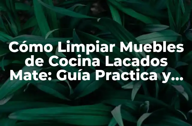Cómo Limpiar Muebles de Cocina Lacados Mate: Guía Practica y Detallada
