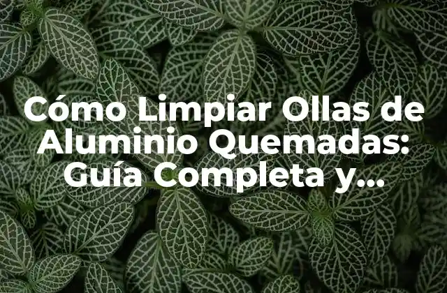 Cómo Limpiar Ollas de Aluminio Quemadas: Guía Completa y Detallada