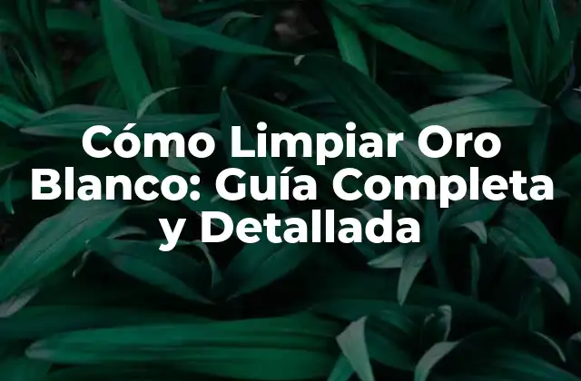 Cómo Limpiar Oro Blanco: Guía Completa y Detallada 2 Importancia de Limpiar el Oro Blanco