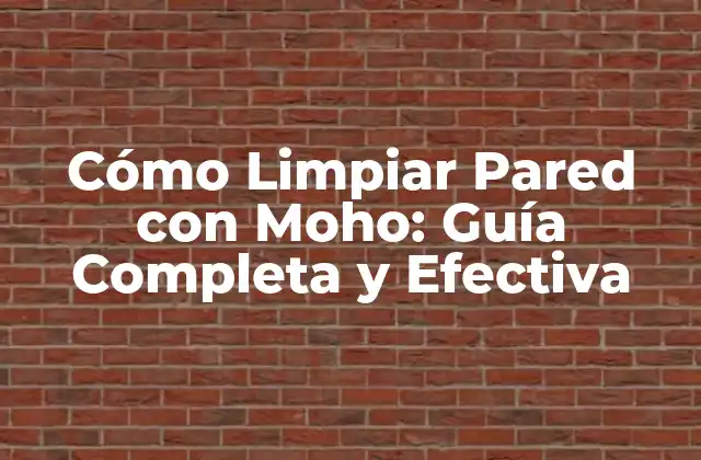 Cómo Limpiar Pared con Moho: Guía Completa y Efectiva