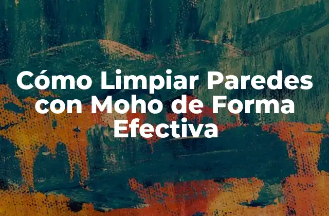Cómo Limpiar Paredes con Moho de Forma Efectiva