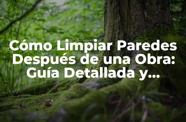 Cómo Limpiar Paredes Después de una Obra: Guía Detallada y Práctica