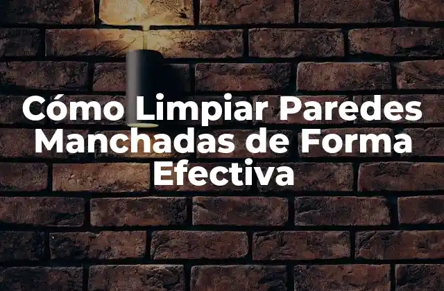 Cómo Limpiar Paredes Manchadas de Forma Efectiva