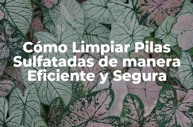 Cómo Limpiar Pilas Sulfatadas de Manera Eficiente y Segura