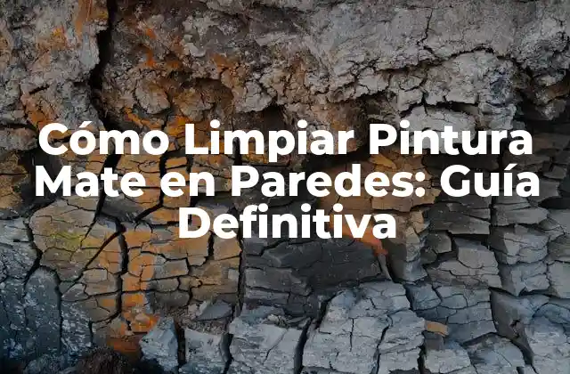 Cómo Limpiar Pintura Mate en Paredes: Guía Definitiva 2 ¿Por qué es Importante Limpiar la Pintura Mate en Paredes?