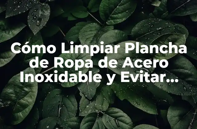 Cómo Limpiar Plancha de Ropa de Acero Inoxidable y Evitar Manchas