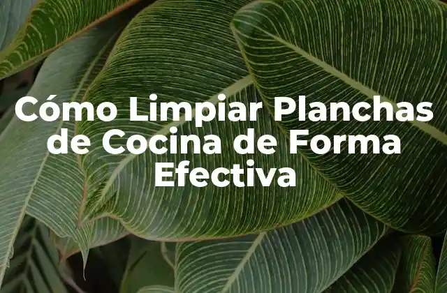Cómo Limpiar Planchas de Cocina de Forma Efectiva