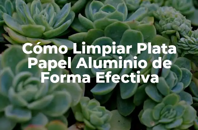 Cómo Limpiar Plata Papel Aluminio de Forma Efectiva