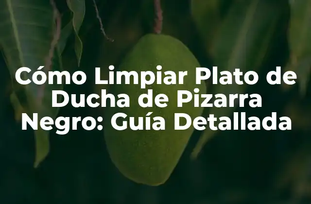 Cómo Limpiar Plato de Ducha de Pizarra Negro: Guía Detallada
