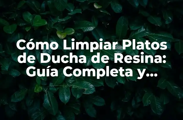 Cómo Limpiar Platos de Ducha de Resina: Guía Completa y Detallada