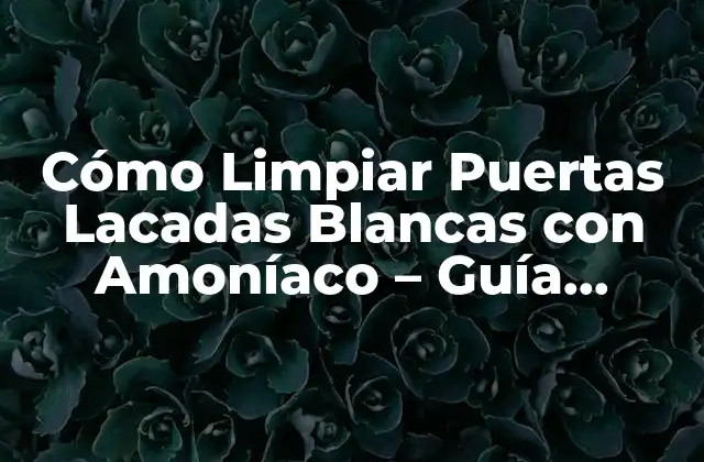 Cómo Limpiar Puertas Lacadas Blancas con Amoníaco - Guía Definitiva 2 ¿Por qué es Importante Limpiar las Puertas Lacadas Blancas?