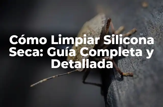 Cómo Limpiar Silicona Seca: Guía Completa y Detallada