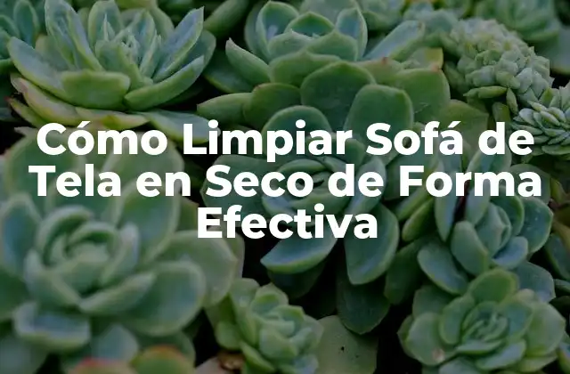 Por qué es Importante Limpiar Sofá de Tela en Seco
