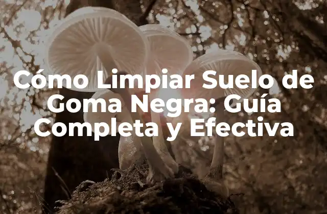 Cómo Limpiar Suelo de Goma Negra: Guía Completa y Efectiva
