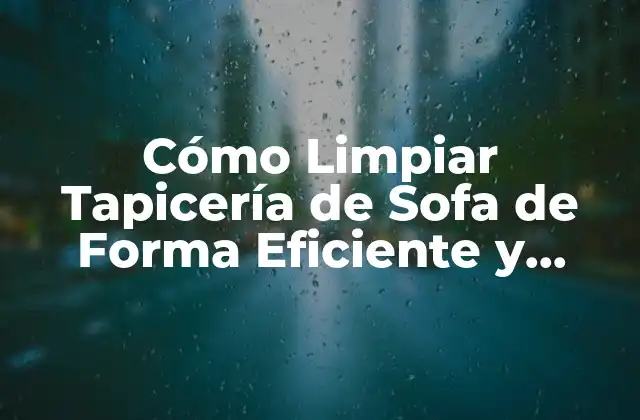 Cómo Limpiar Tapicería de Sofa de Forma Eficiente y Segura