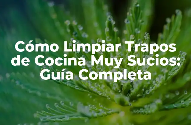 Cómo Limpiar Trapos de Cocina Muy Sucios: Guía Completa