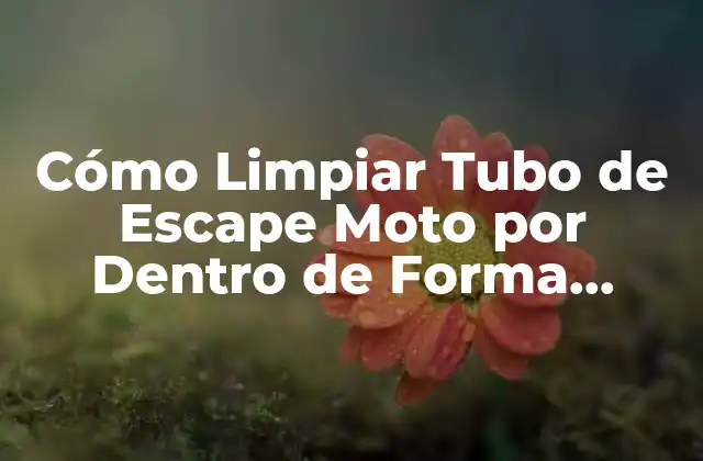 Cómo Limpiar Tubo de Escape Moto por Dentro de Forma Segura y Efectiva
