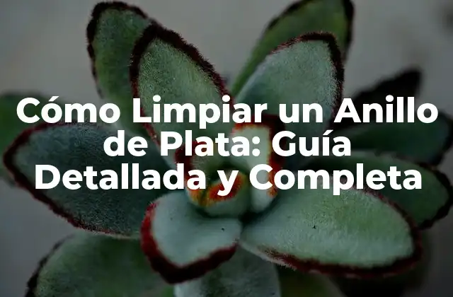 Cómo Limpiar un Anillo de Plata: Guía Detallada y Completa 2 ¿Por qué es Importante Limpiar un Anillo de Plata?