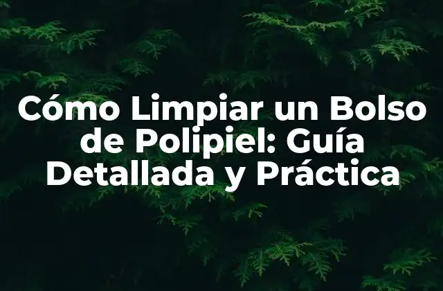 Cómo Limpiar un Bolso de Polipiel: Guía Detallada y Práctica